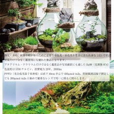 画像4: クリスタルアクア 【太陽光に近くなった】LEDライト CE20RA98-60D - 高演色、水草・植物育成向け、20W、5700K色温度　アクアリウム・水草水槽育成用 (4)